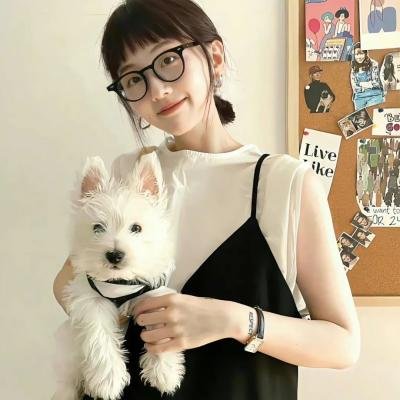 一秒变总统第二季